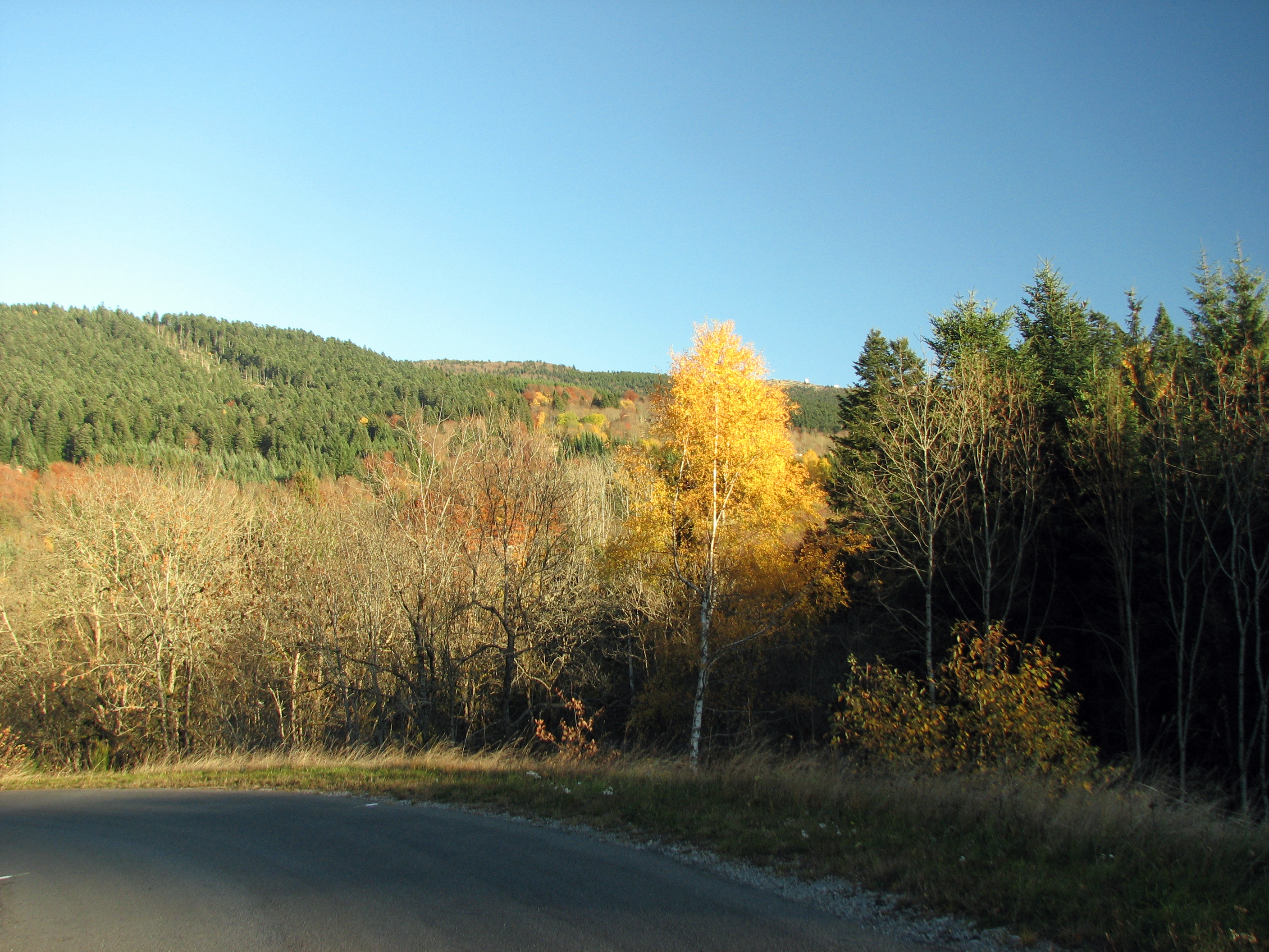 Col du Béal